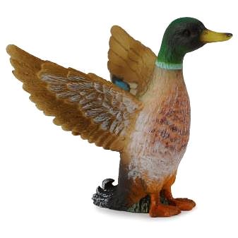 

COLLECTA Kachna divoká kačer