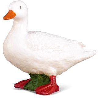 

COLLECTA Kachna domácí