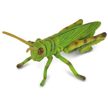 

COLLECTA Kobylka luční