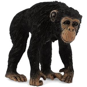 

COLLECTA Šimpanz samice