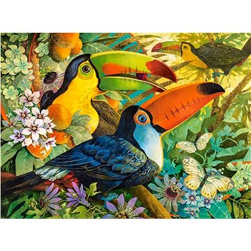 

Castorland Puzzle Barevní tukani 3000 dílků