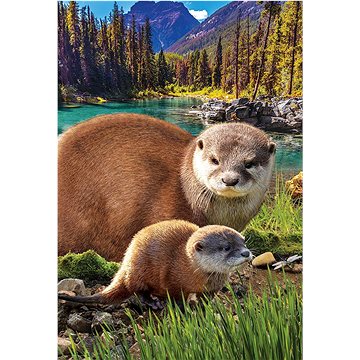 

Eurographics Puzzle Save Our Planet: Vydry XL 250 dílků