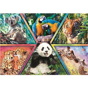 

Trefl Puzzle Animal Planet: Království zvířat 1000 dílků