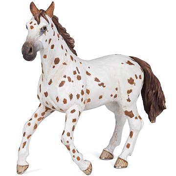

PAPO Apaloosa