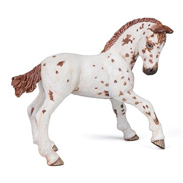

PAPO Apaloosa mládě