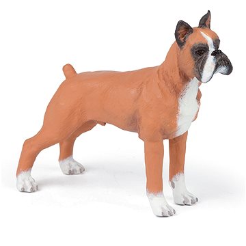 

PAPO Boxer