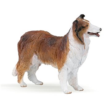 

PAPO Kolie Lassie