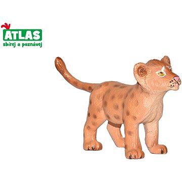 

Atlas Lvíče