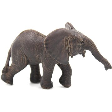 

Atlas Slůně africké