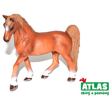 

Atlas Kůň