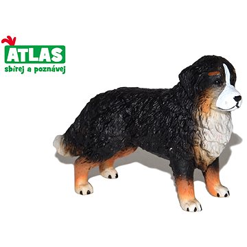 

Atlas Bernský salašnický pes
