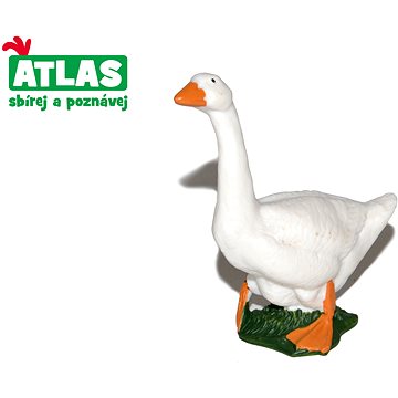 

Atlas Husa