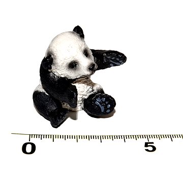 

Atlas Pandí mládě