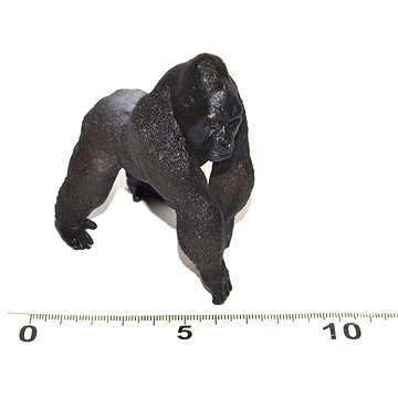 

Atlas Gorila