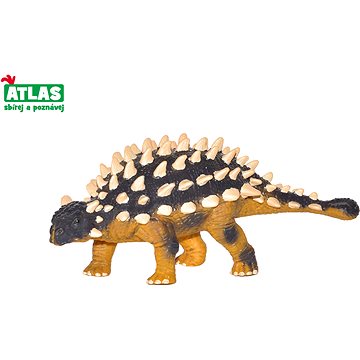 

Atlas Saichania