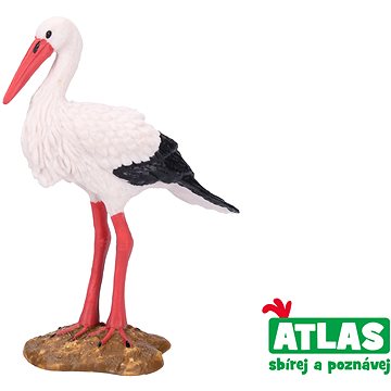

Atlas Čáp