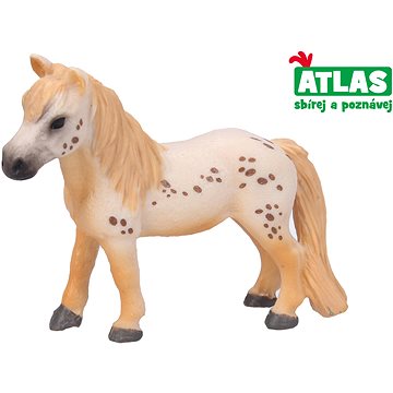 

Atlas Poník