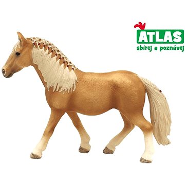 

Atlas Kůň Hafling