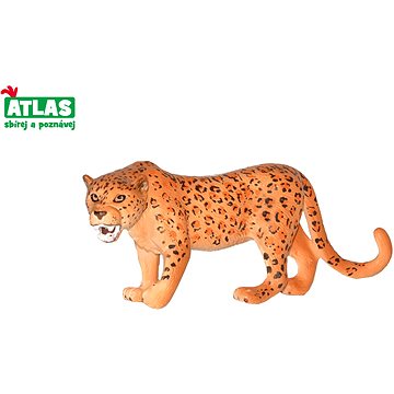 

Atlas Leopard