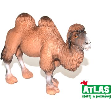 

Atlas Velbloud