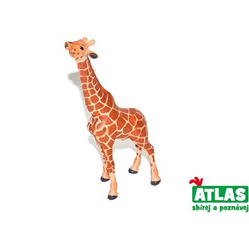 

Atlas Žirafa