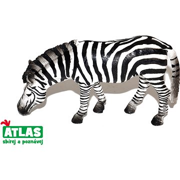 

Atlas Zebra