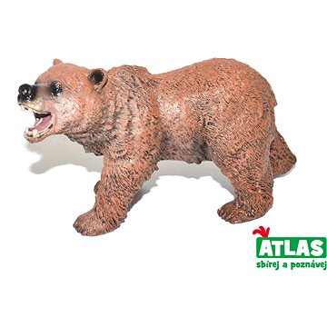 

Atlas Medvěd hnědý