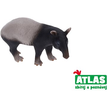 

Atlas Tapír
