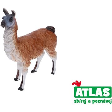 

Atlas Lama