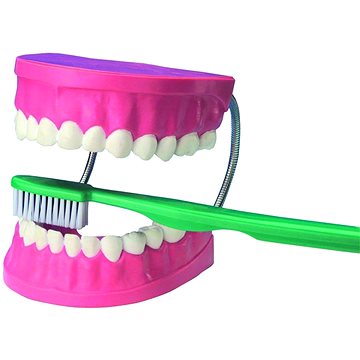 

Velký model pro dentální péči