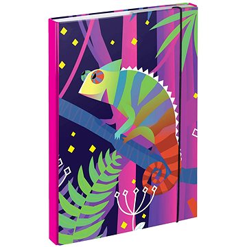 

BAAGL Desky na školní sešity A4 Chameleon