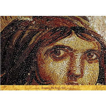 

Puzzle Cikánská dívka 1000 dílků