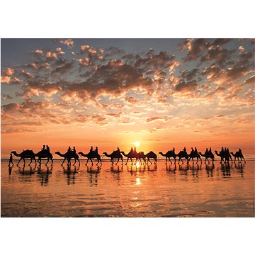 

Puzzle Zlatý západ slunce na Cable beach 1000 dílků