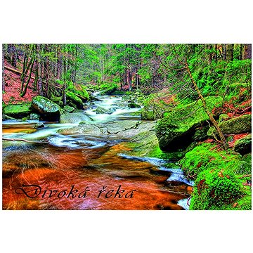 

Puzzle "Divoká řeka"