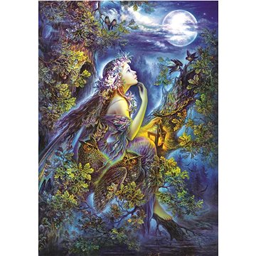 

Art puzzle Puzzle V mých snech 1000 dílků