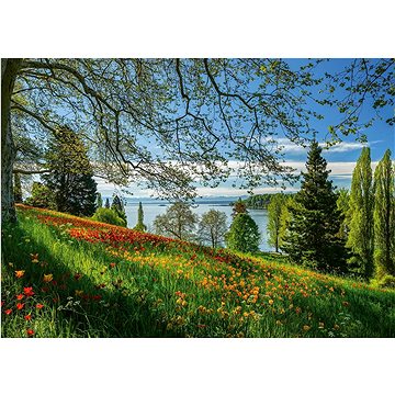 

Schimdt Puzzle Kvetoucí tulipány na ostrově Mainau 1000 dílků