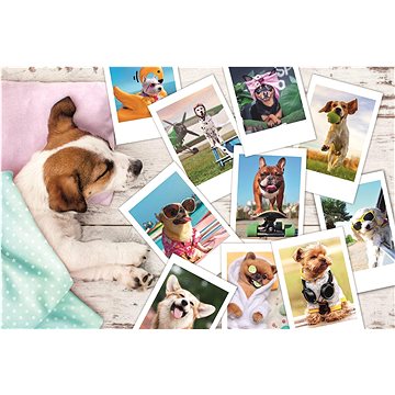 

Trefl Puzzle Fotky z dovolené 300 dílků