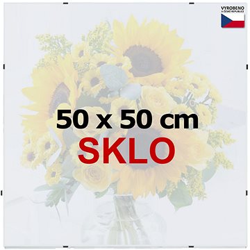 

BFHM Rám na puzzle Euroclip, 50 × 50 cm, sklo