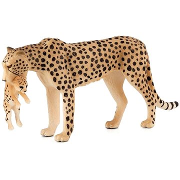 

Mojo - Gepard samice s mládětem