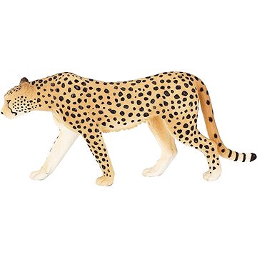 

Mojo - Gepard samec