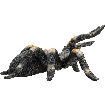 

Mojo - Tarantule sklípkan Smithův