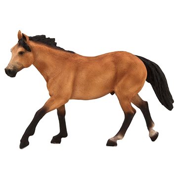 

Mojo - Kůň Quarter horse plavý