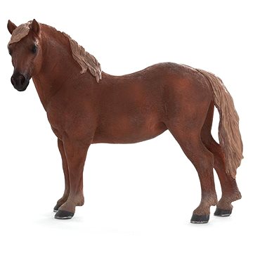 

Mojo - Kůň Suffolk punch - klisna