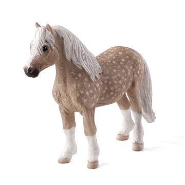 

Mojo - Velšský pony