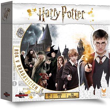 Harry Potter: Rok v Bradavicích
