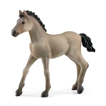 

Schleich Zvířátko - hříbě Criollo Definitivo 13949