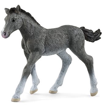 

Schleich Zvířátko - hříbě trakénské 13944
