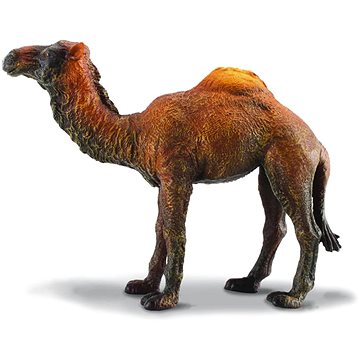 

Collecta Velbloud jednohrbý