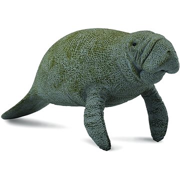 

Collecta Kapustňák