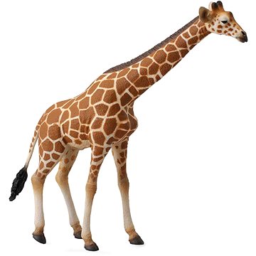 

Collecta Žirafa
